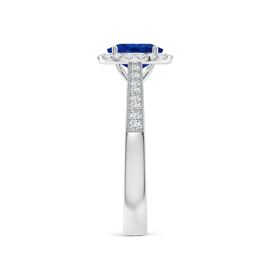 7x5mm AAA Oval Blue Sapphire Reverse Tapered Shank Halo Engagement Ring in P950 Platinum side 299