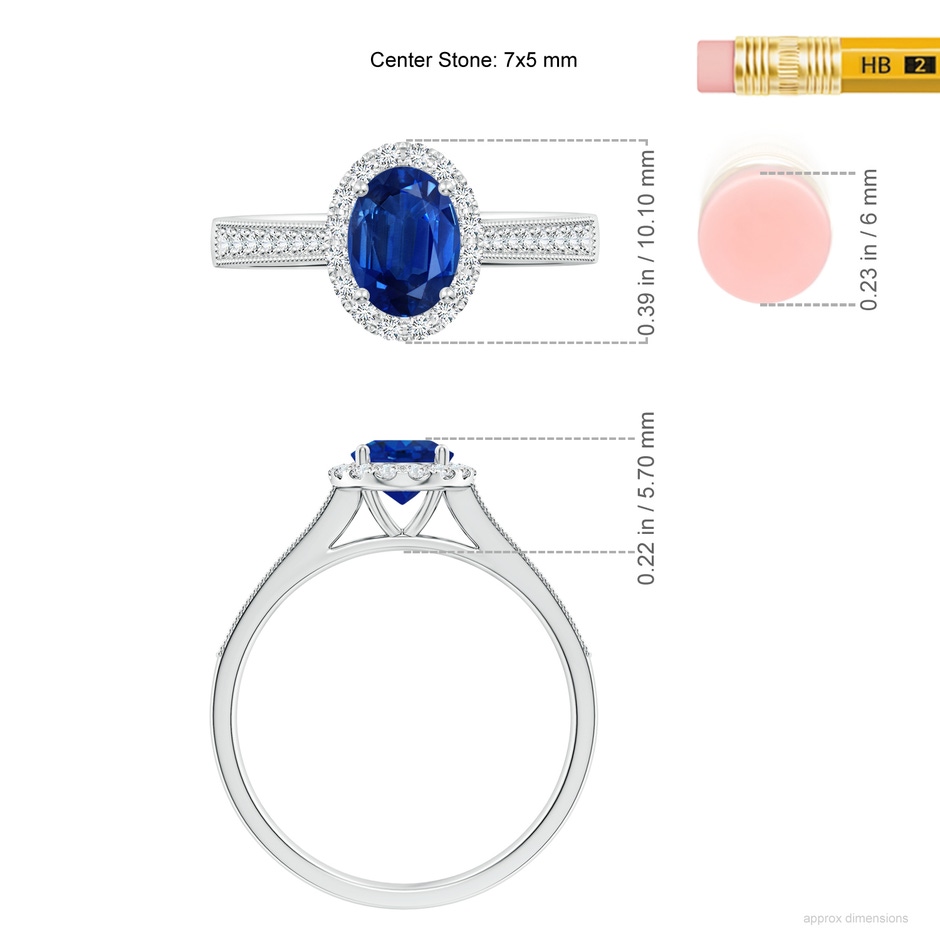 7x5mm AAA Oval Blue Sapphire Reverse Tapered Shank Halo Engagement Ring in P950 Platinum ruler