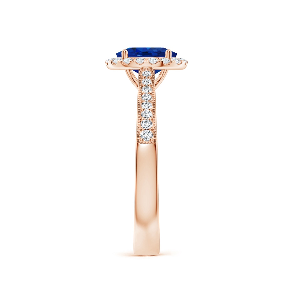 7x5mm AAA Oval Blue Sapphire Reverse Tapered Shank Halo Engagement Ring in Rose Gold side 299