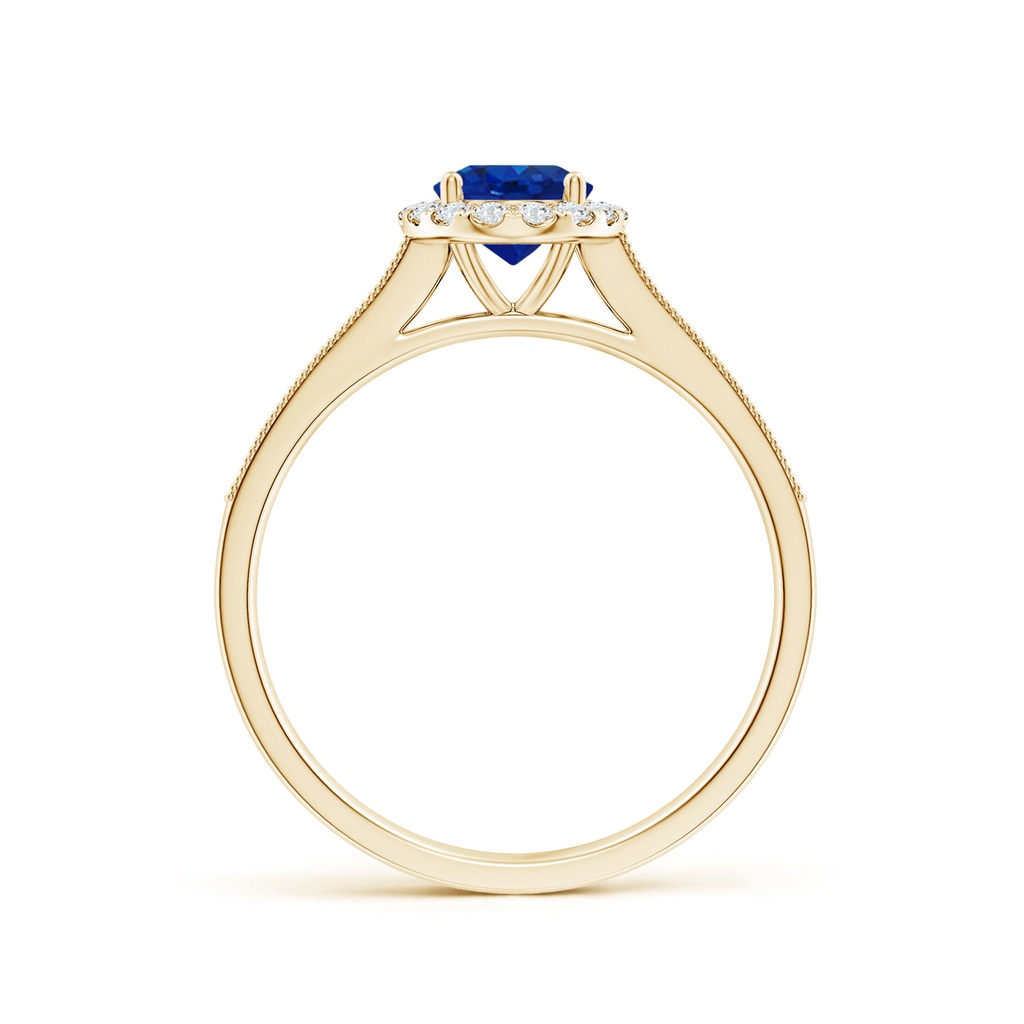 7x5mm AAA Oval Blue Sapphire Reverse Tapered Shank Halo Engagement Ring in Yellow Gold - side 199