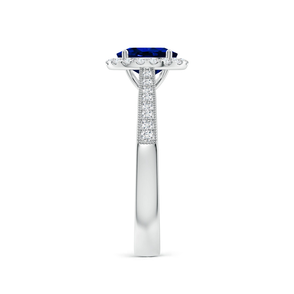7x5mm AAAA Oval Blue Sapphire Reverse Tapered Shank Halo Engagement Ring in P950 Platinum side 299