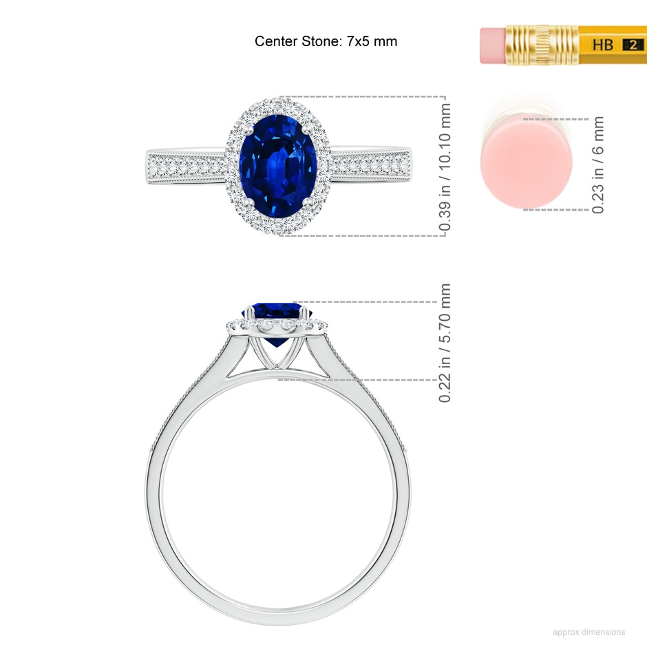 7x5mm AAAA Oval Blue Sapphire Reverse Tapered Shank Halo Engagement Ring in P950 Platinum ruler