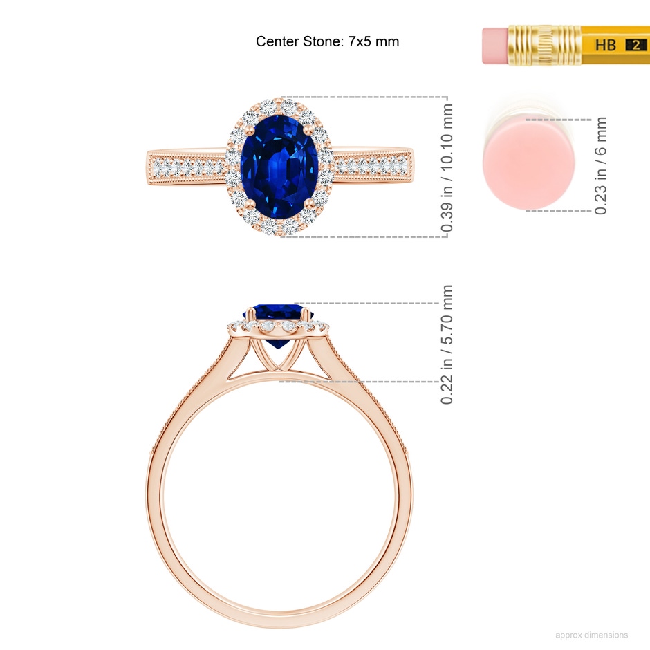 7x5mm AAAA Oval Blue Sapphire Reverse Tapered Shank Halo Engagement Ring in Rose Gold ruler