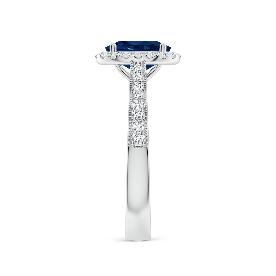 8x6mm AA Oval Blue Sapphire Reverse Tapered Shank Halo Engagement Ring in White Gold side 299