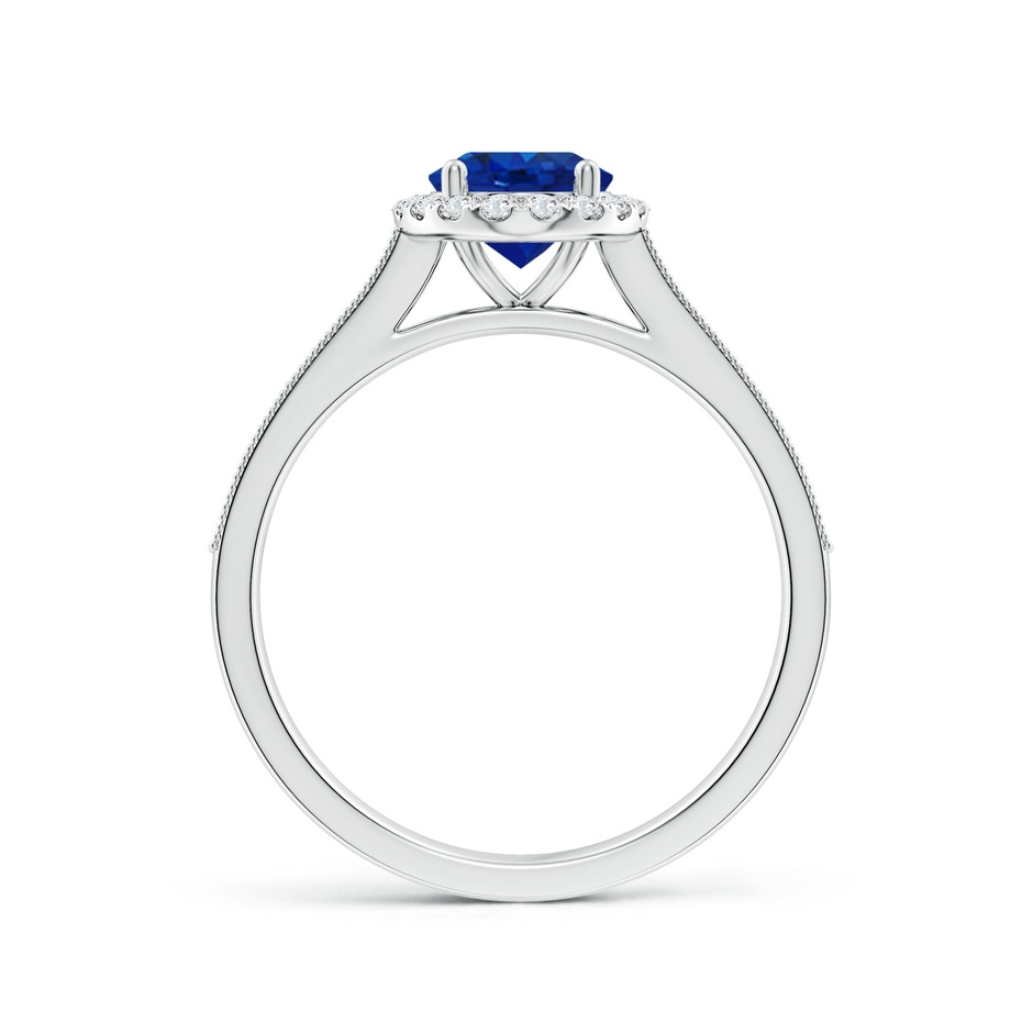 8x6mm AAA Oval Blue Sapphire Reverse Tapered Shank Halo Engagement Ring in P950 Platinum side 199