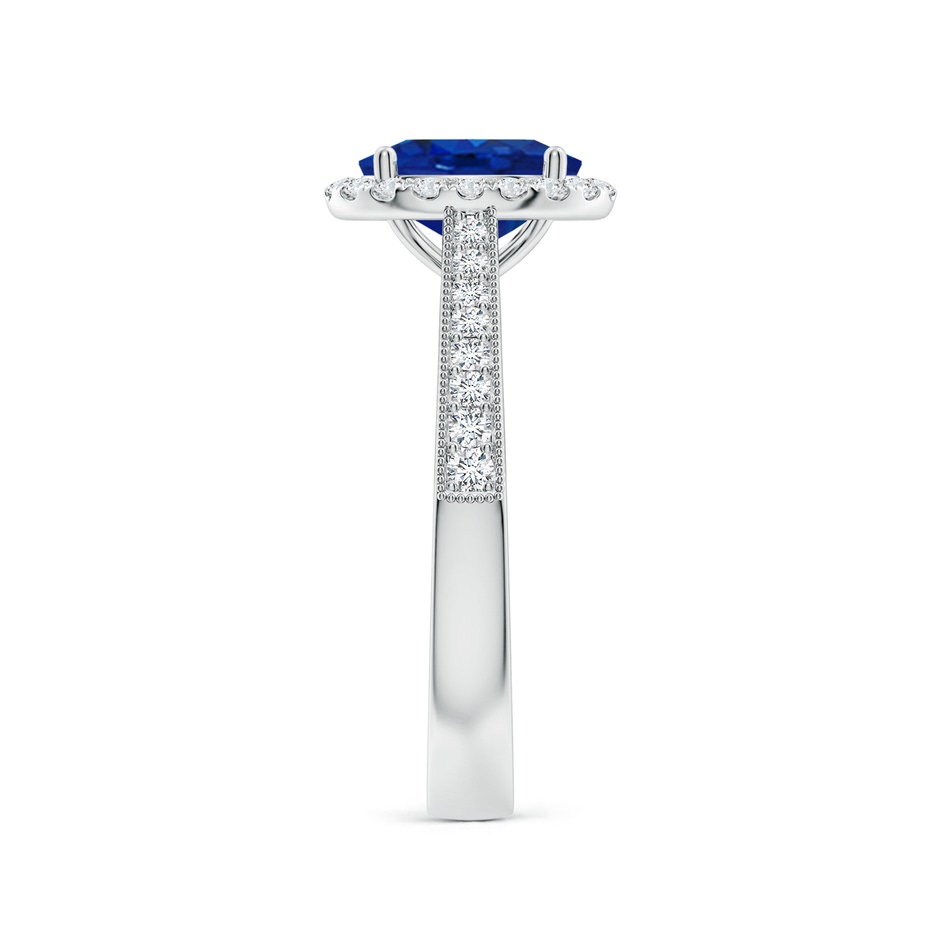 8x6mm AAA Oval Blue Sapphire Reverse Tapered Shank Halo Engagement Ring in P950 Platinum side 299