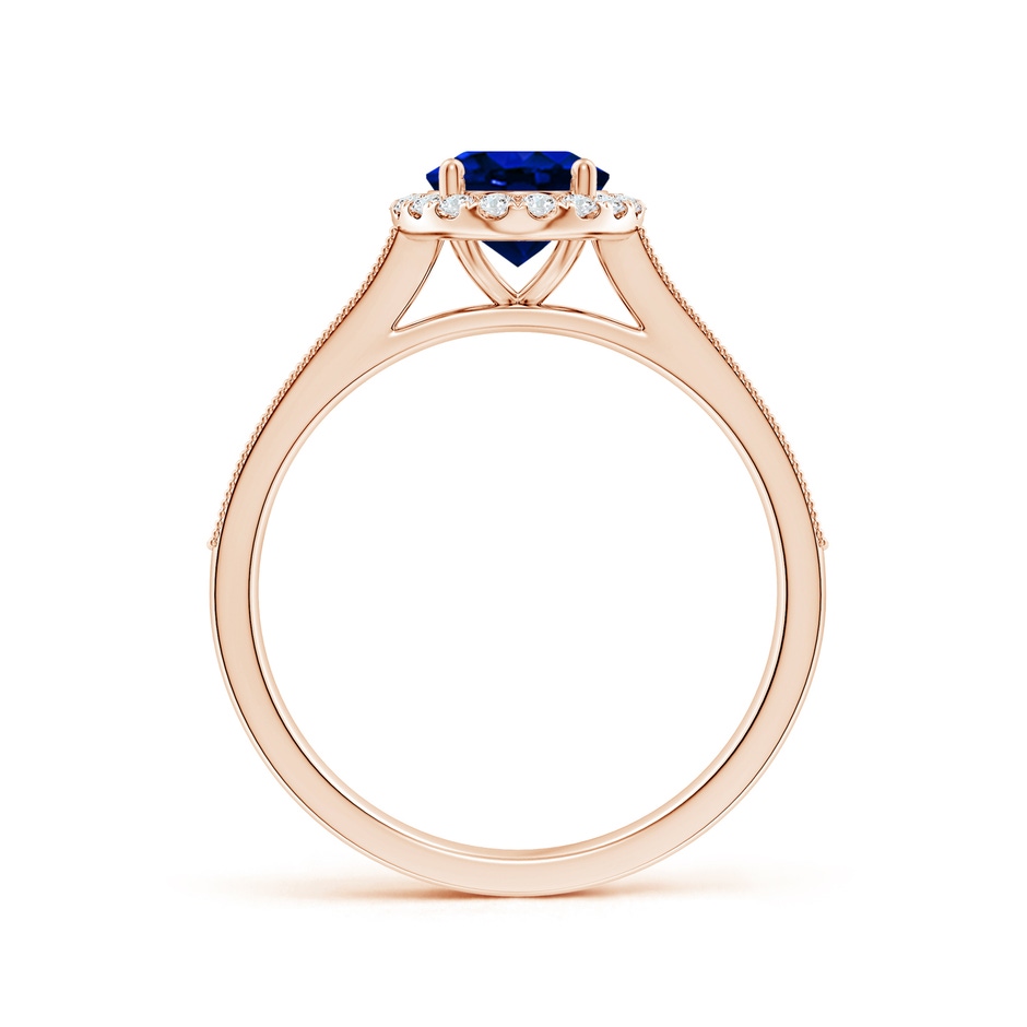 8x6mm AAAA Oval Blue Sapphire Reverse Tapered Shank Halo Engagement Ring in Rose Gold side 199