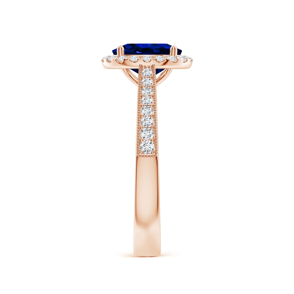 8x6mm AAAA Oval Blue Sapphire Reverse Tapered Shank Halo Engagement Ring in Rose Gold side 299