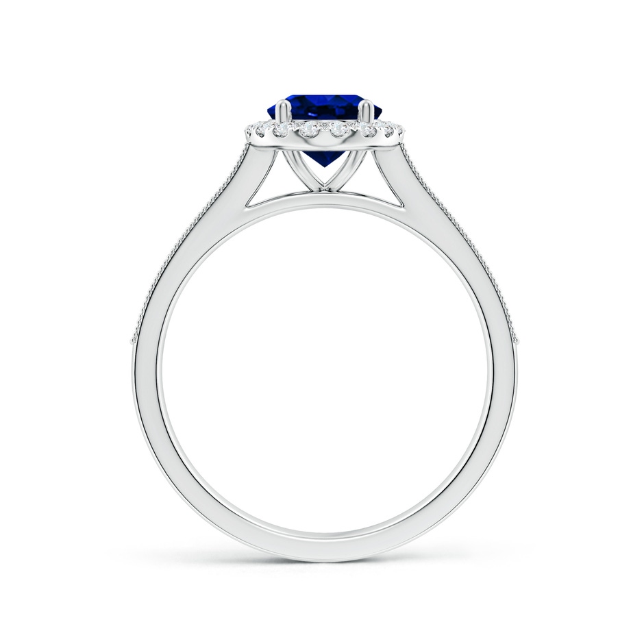 8x6mm AAAA Oval Blue Sapphire Reverse Tapered Shank Halo Engagement Ring in White Gold side 199