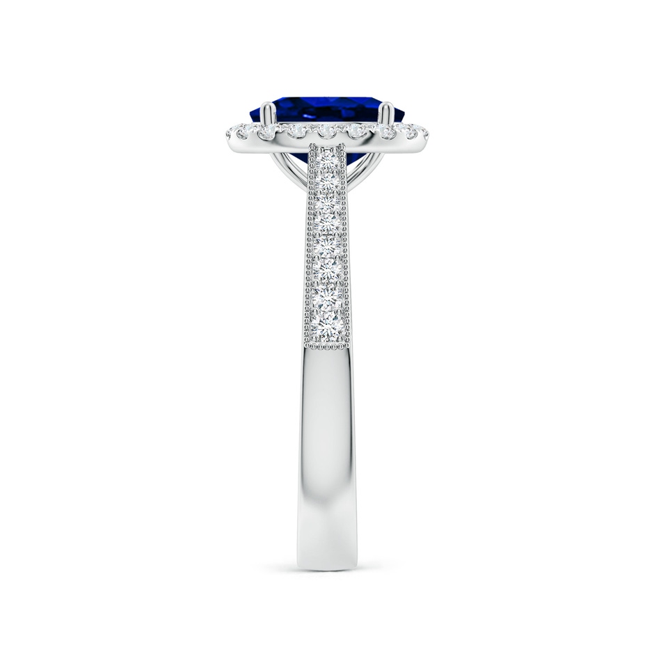 8x6mm AAAA Oval Blue Sapphire Reverse Tapered Shank Halo Engagement Ring in White Gold side 299