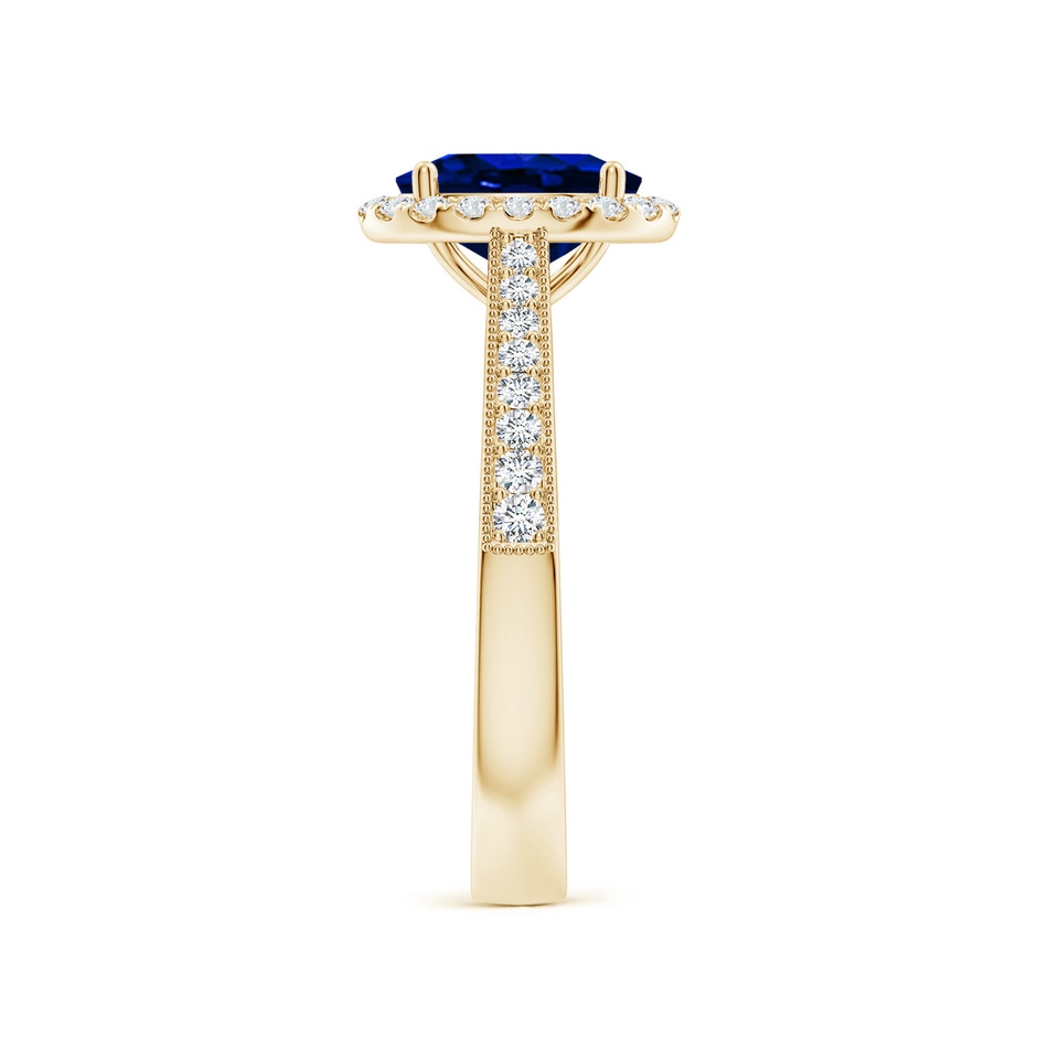 8x6mm AAAA Oval Blue Sapphire Reverse Tapered Shank Halo Engagement Ring in Yellow Gold side 299