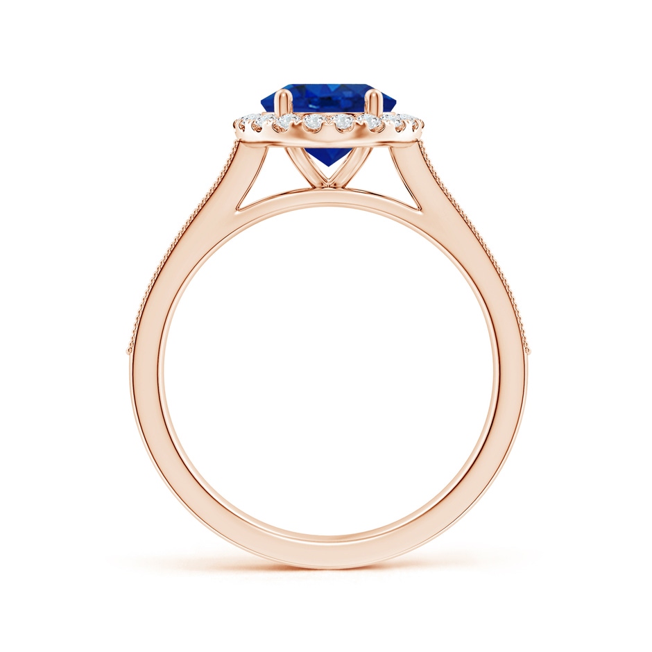 9x7mm AAA Oval Blue Sapphire Reverse Tapered Shank Halo Engagement Ring in Rose Gold side 199