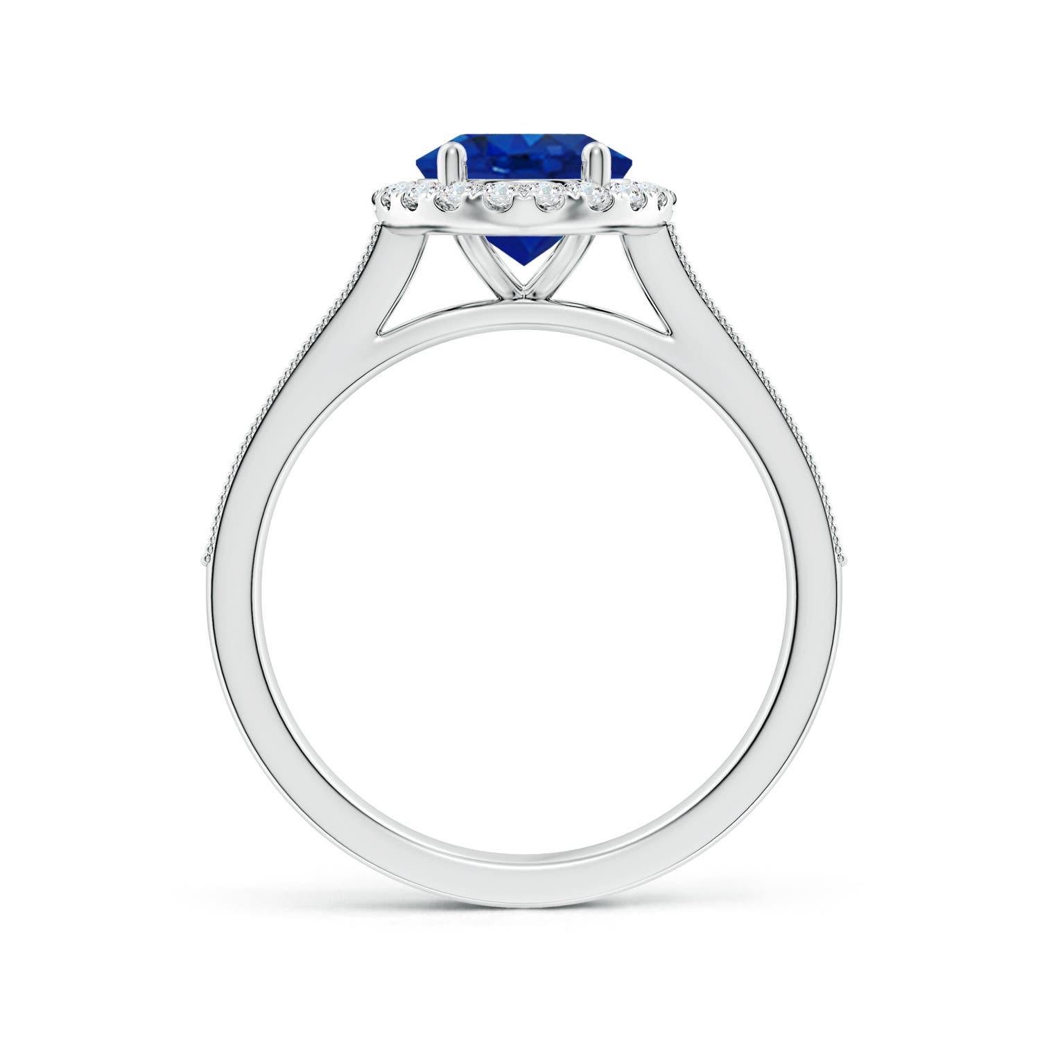 9x7mm AAA Oval Blue Sapphire Reverse Tapered Shank Halo Engagement Ring in White Gold - side 2