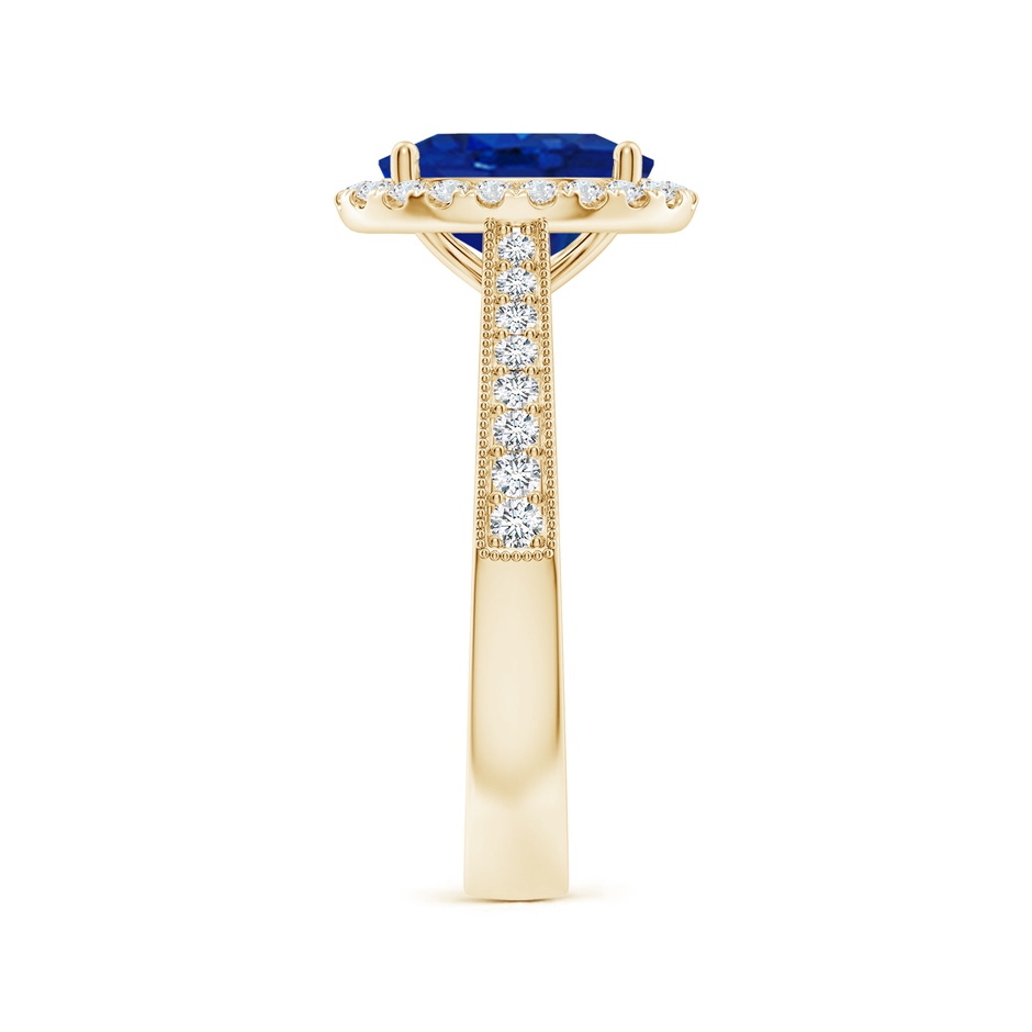 9x7mm AAA Oval Blue Sapphire Reverse Tapered Shank Halo Engagement Ring in Yellow Gold side 299