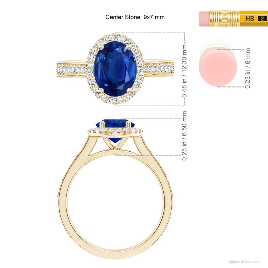 9x7mm AAA Oval Blue Sapphire Reverse Tapered Shank Halo Engagement Ring in Yellow Gold ruler
