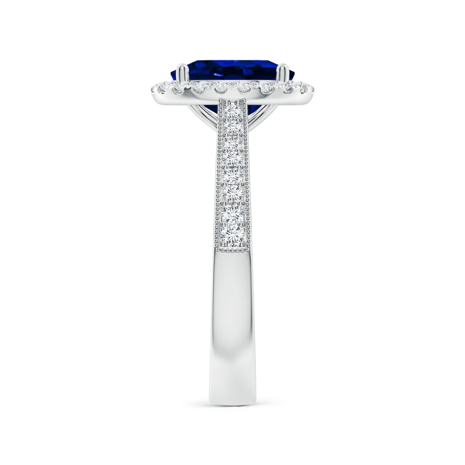9x7mm AAAA Oval Blue Sapphire Reverse Tapered Shank Halo Engagement Ring in P950 Platinum side 299