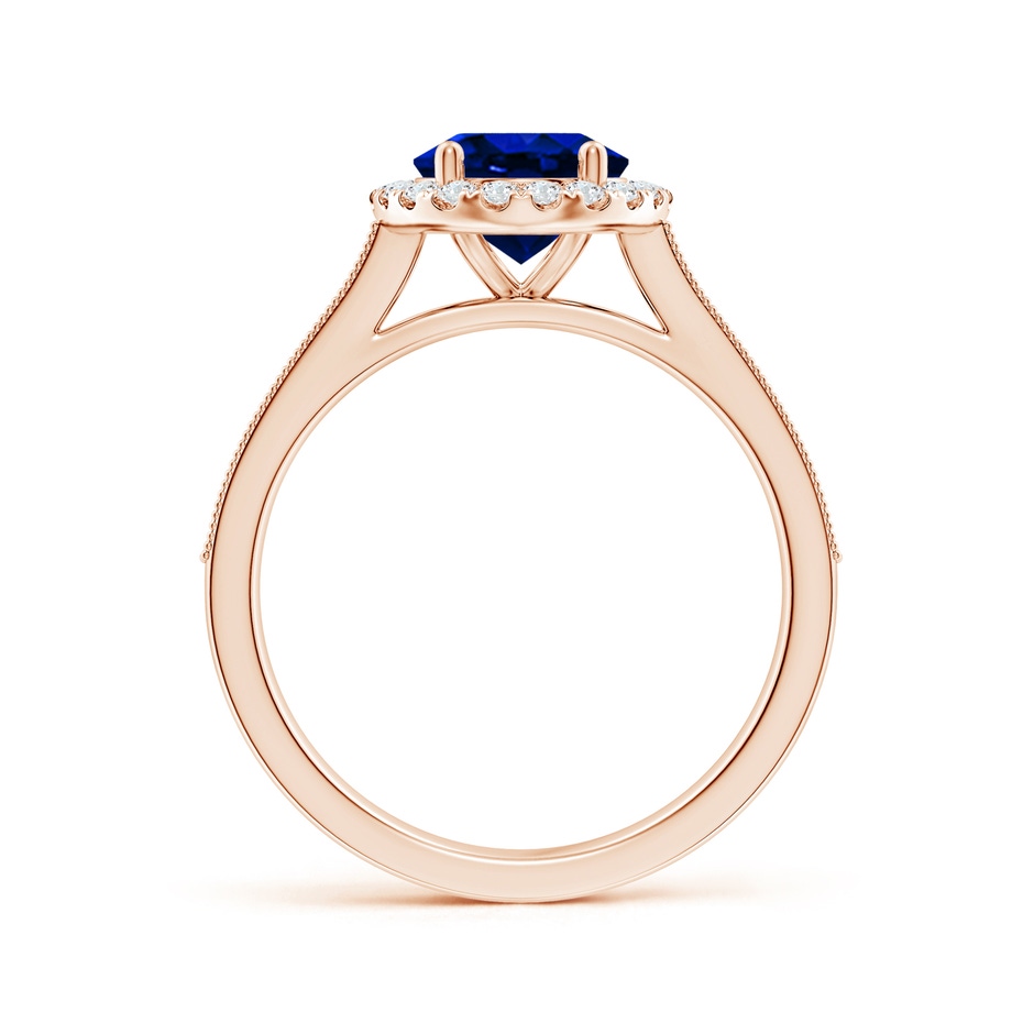 9x7mm AAAA Oval Blue Sapphire Reverse Tapered Shank Halo Engagement Ring in Rose Gold side 199