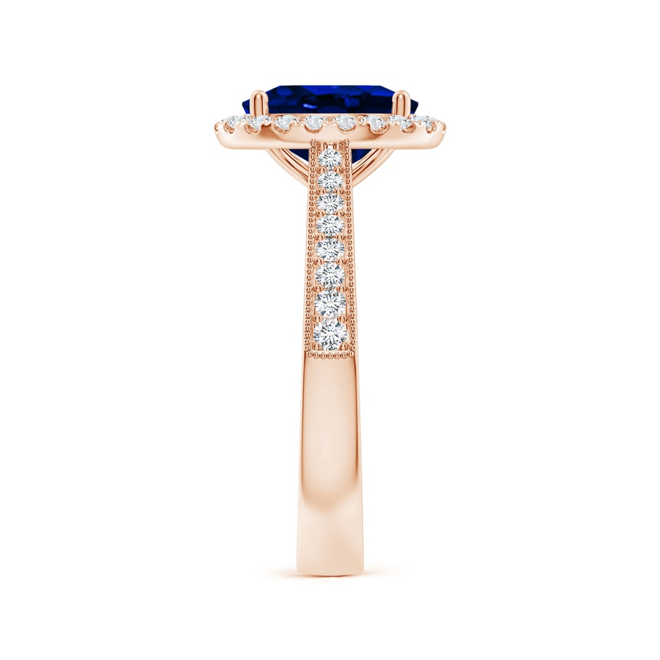 9x7mm AAAA Oval Blue Sapphire Reverse Tapered Shank Halo Engagement Ring in Rose Gold side 299