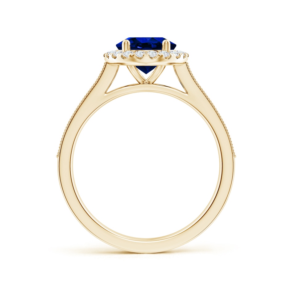 9x7mm AAAA Oval Blue Sapphire Reverse Tapered Shank Halo Engagement Ring in Yellow Gold side 199