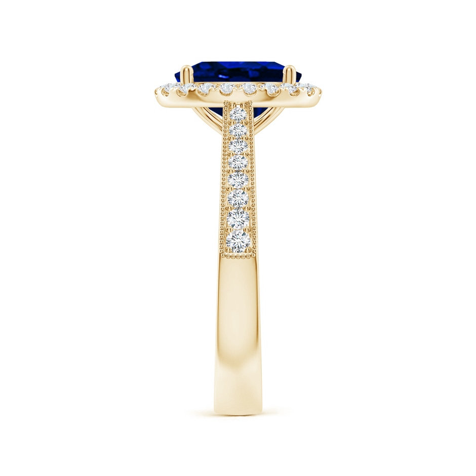 9x7mm AAAA Oval Blue Sapphire Reverse Tapered Shank Halo Engagement Ring in Yellow Gold side 299