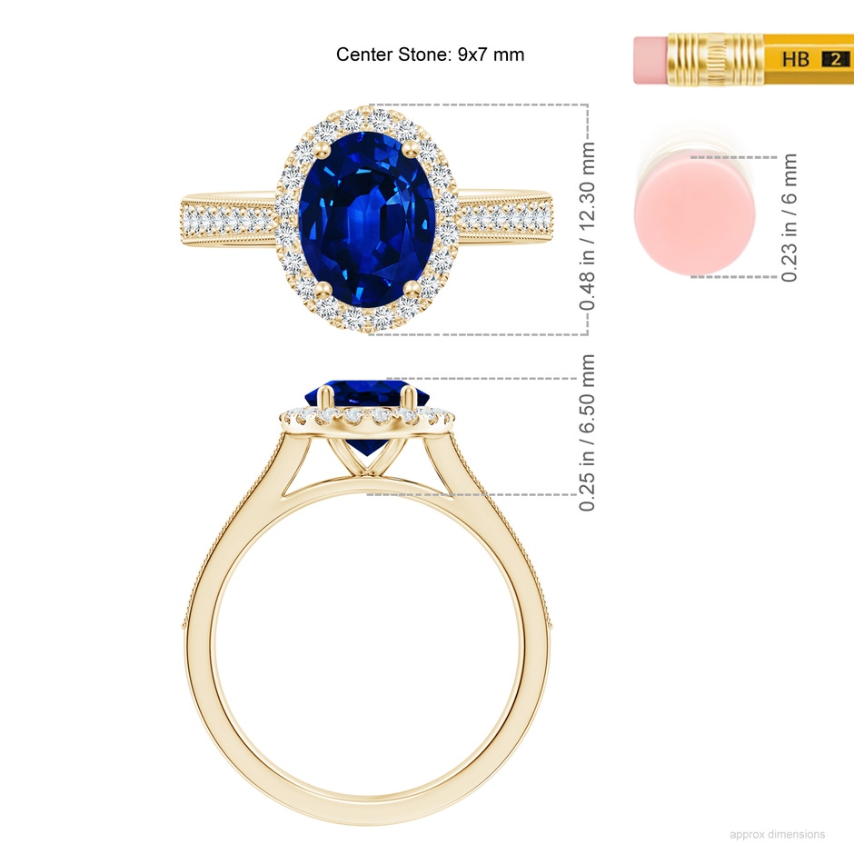 9x7mm AAAA Oval Blue Sapphire Reverse Tapered Shank Halo Engagement Ring in Yellow Gold ruler