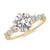 2 1/2 carats