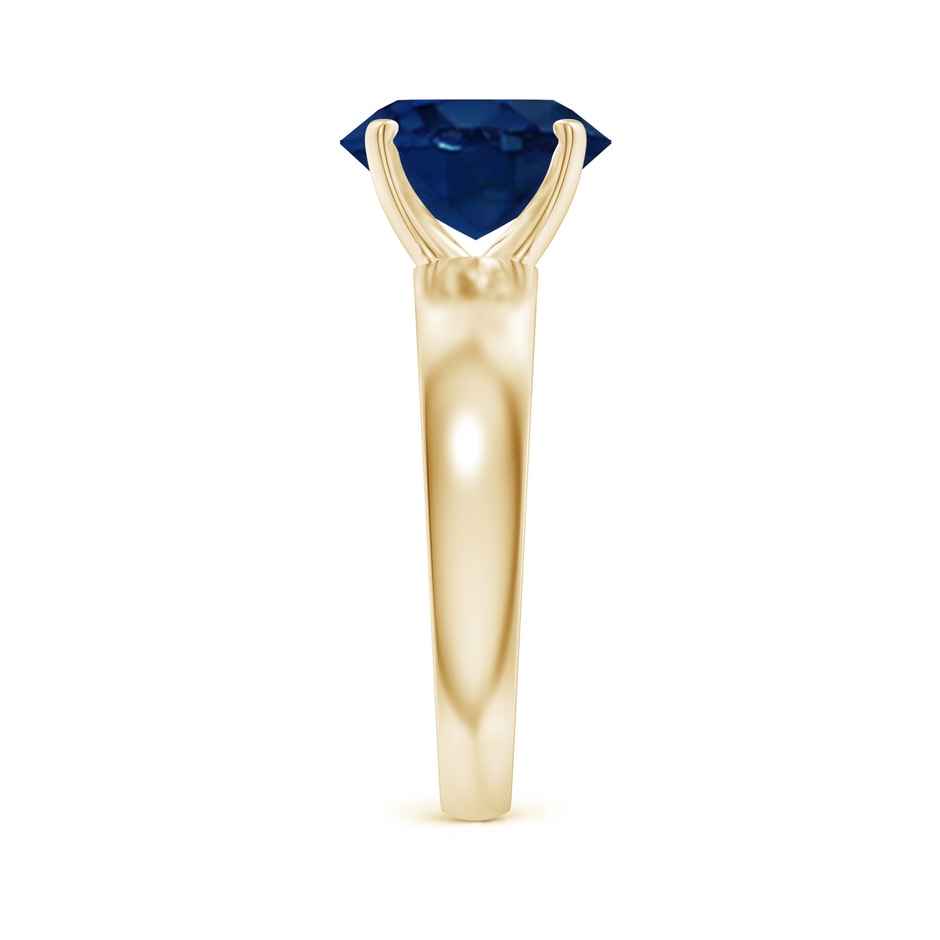 10x8mm AA Prong-Set Oval Blue Sapphire Solitaire Engagement Ring in Yellow Gold side 299