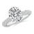 2 7/8 carats