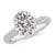 2 7/8 carats