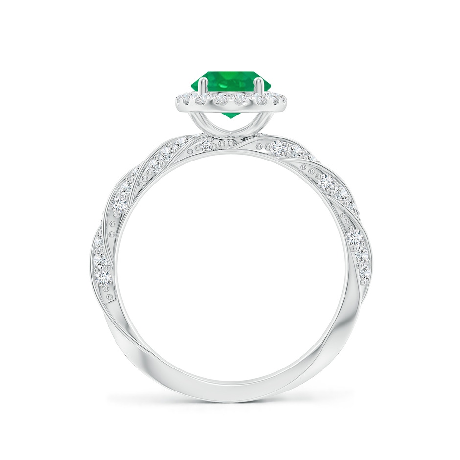 8x6mm AA Oval Emerald Halo Twisted Rope Shank Engagement Ring in P950 Platinum side 199