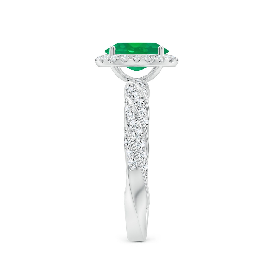 8x6mm AA Oval Emerald Halo Twisted Rope Shank Engagement Ring in P950 Platinum side 299