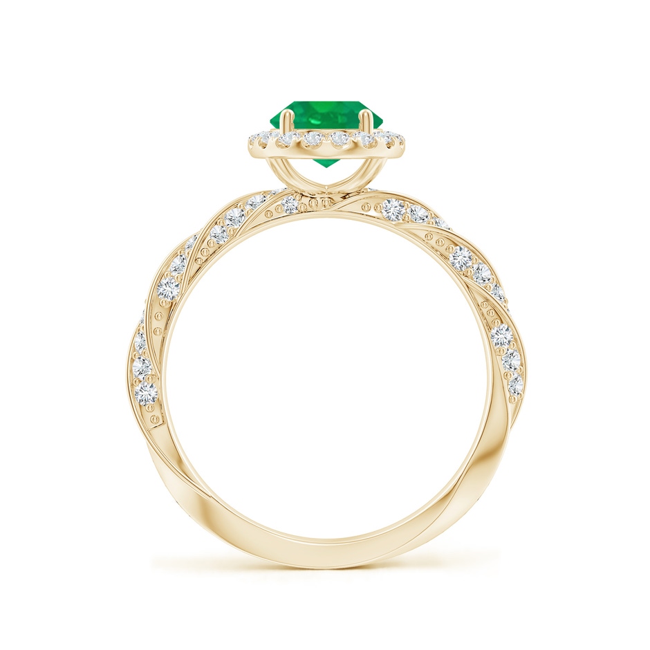 8x6mm AA Oval Emerald Halo Twisted Rope Shank Engagement Ring in Yellow Gold side 199