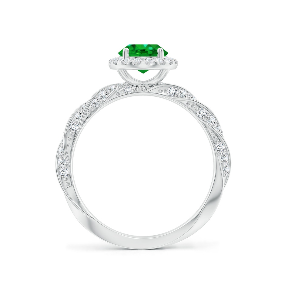 8x6mm AAAA Oval Emerald Halo Twisted Rope Shank Engagement Ring in P950 Platinum side 199