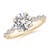2 5/8 carats