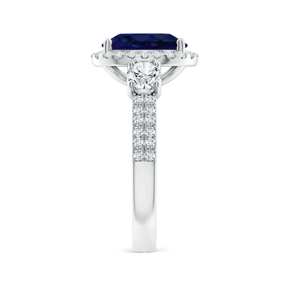 10x8mm A Oval Blue Sapphire Halo Double Shank Engagement Ring in P950 Platinum side 299
