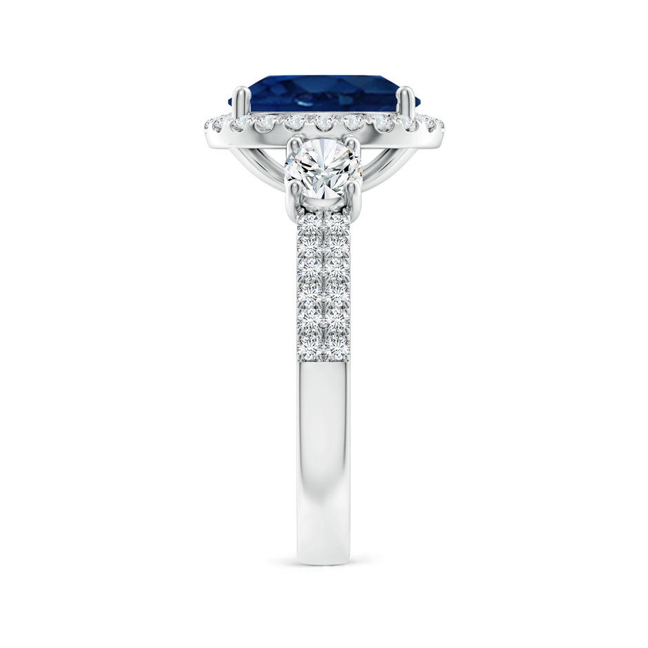 10x8mm AA Oval Blue Sapphire Halo Double Shank Engagement Ring in P950 Platinum side 299