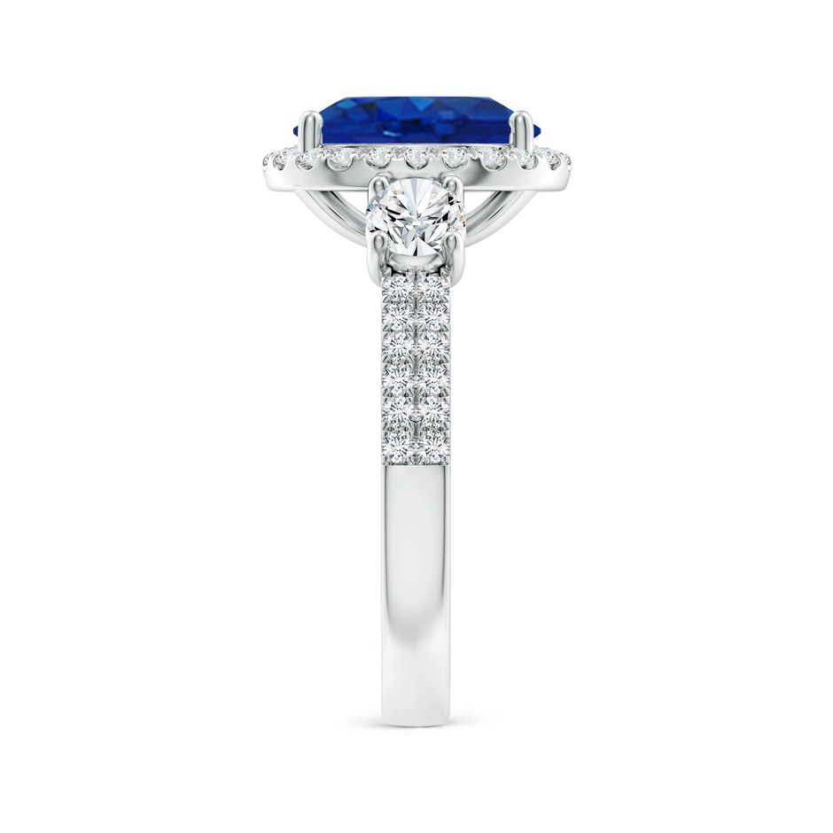 10x8mm AAA Oval Blue Sapphire Halo Double Shank Engagement Ring in P950 Platinum side 299
