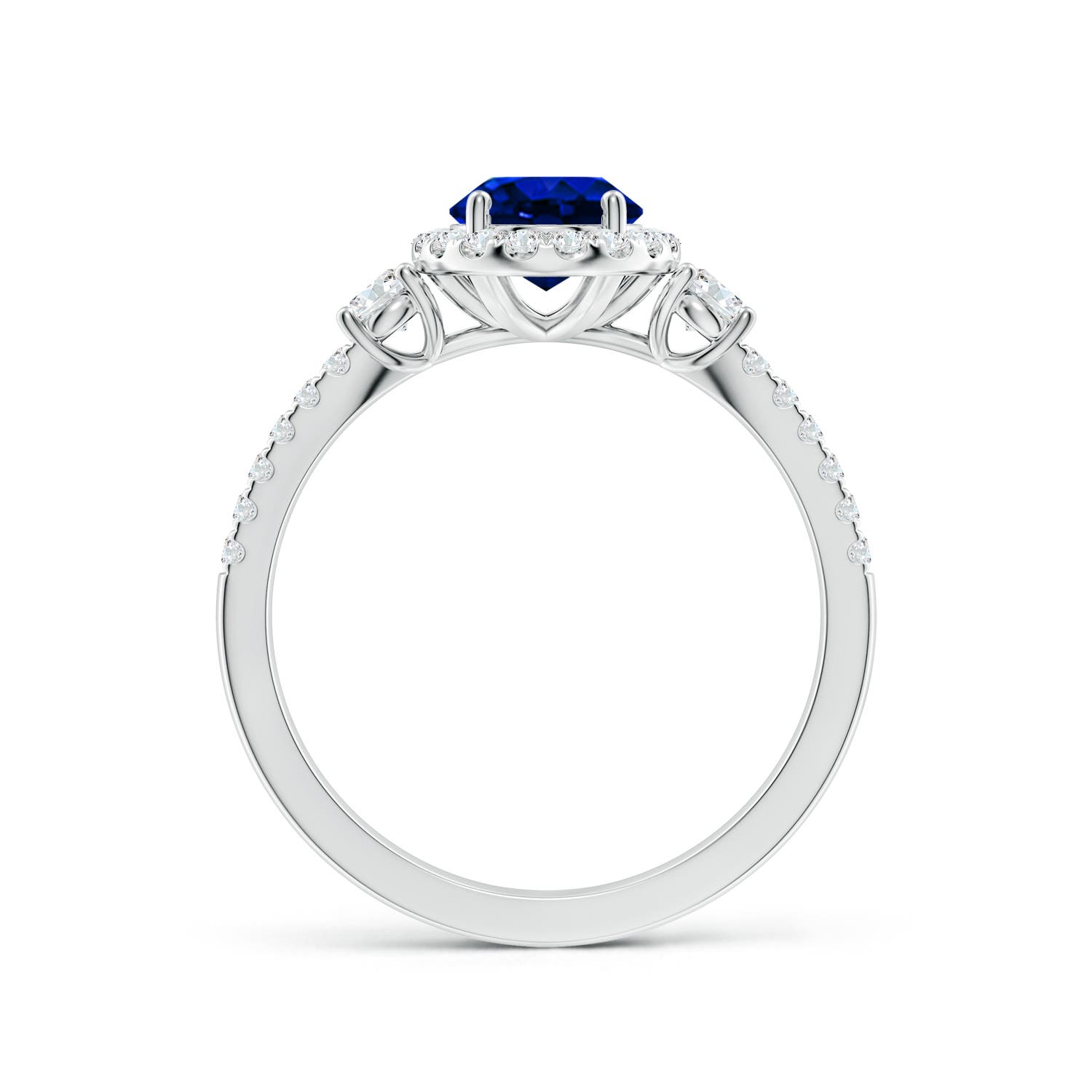 8x6mm AAAA Oval Blue Sapphire Halo Double Shank Engagement Ring in White Gold - side 2