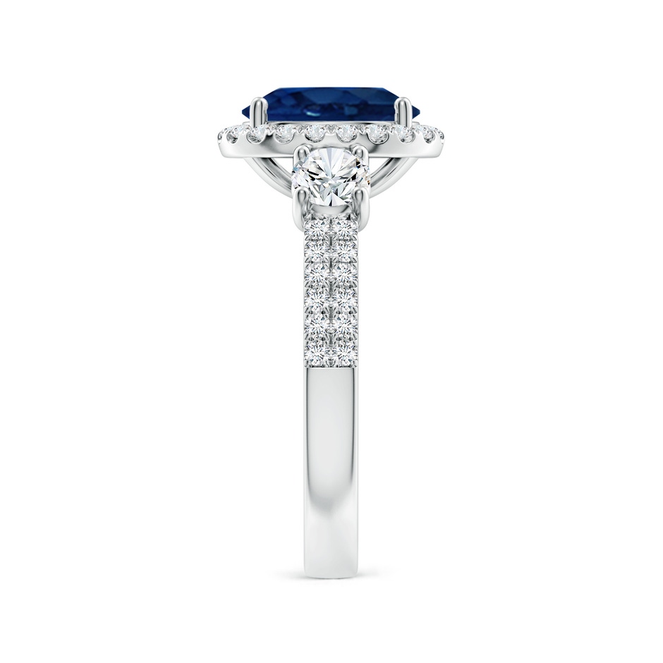 9x7mm AA Oval Blue Sapphire Halo Double Shank Engagement Ring in P950 Platinum side 299
