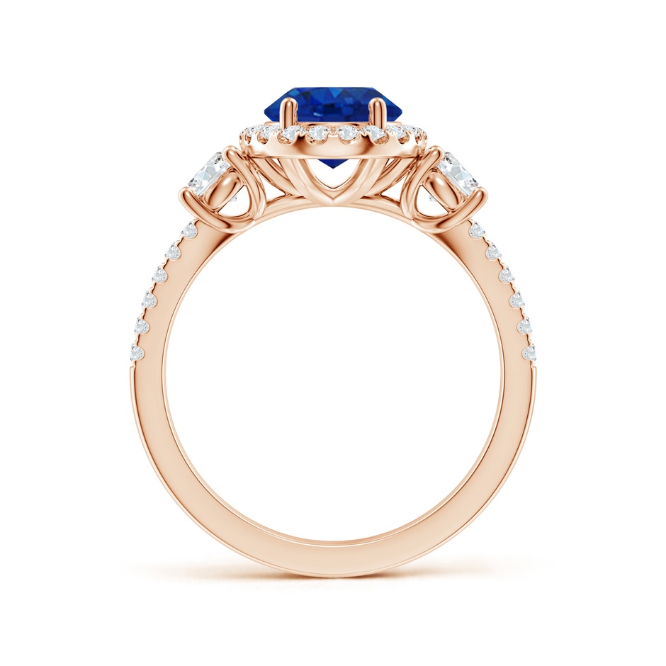 9x7mm AAA Oval Blue Sapphire Halo Double Shank Engagement Ring in Rose Gold side 199
