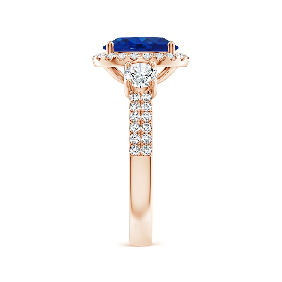 9x7mm AAA Oval Blue Sapphire Halo Double Shank Engagement Ring in Rose Gold side 299