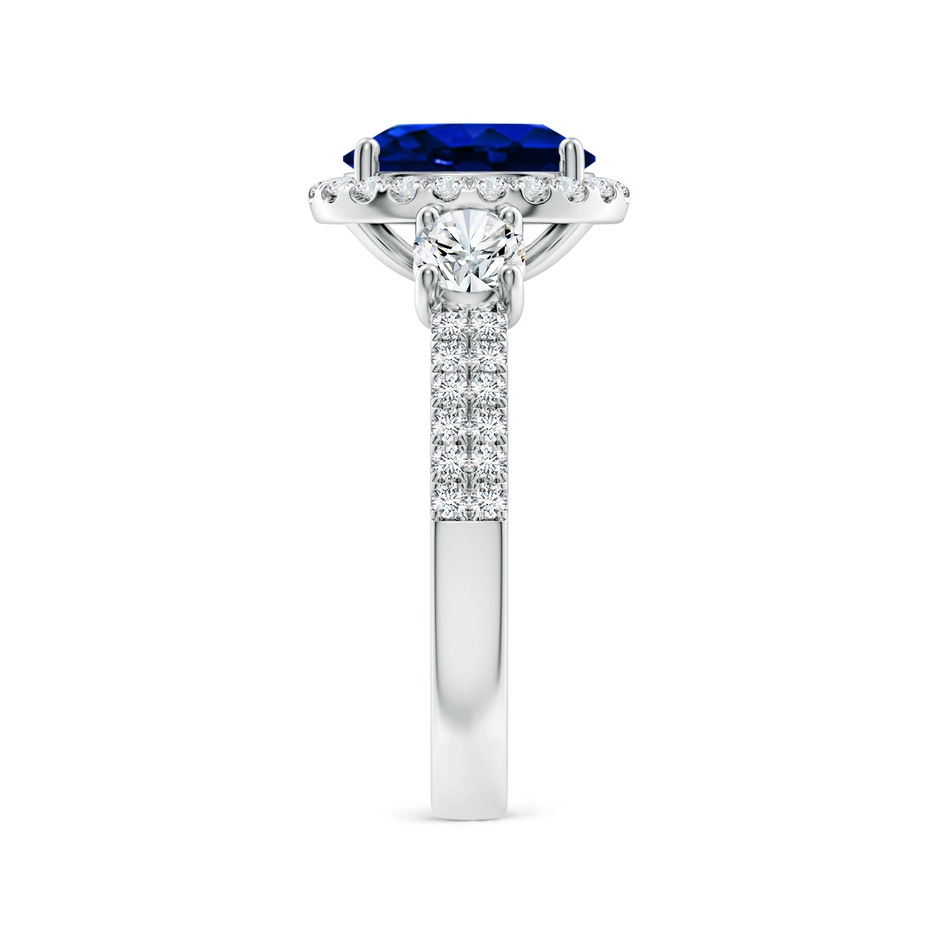 9x7mm AAAA Oval Blue Sapphire Halo Double Shank Engagement Ring in P950 Platinum side 299