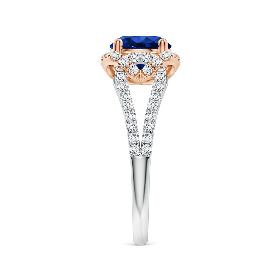 7mm AAAA Classic Round Blue Sapphire Couture Engagement Ring in White Gold Rose Gold side 299