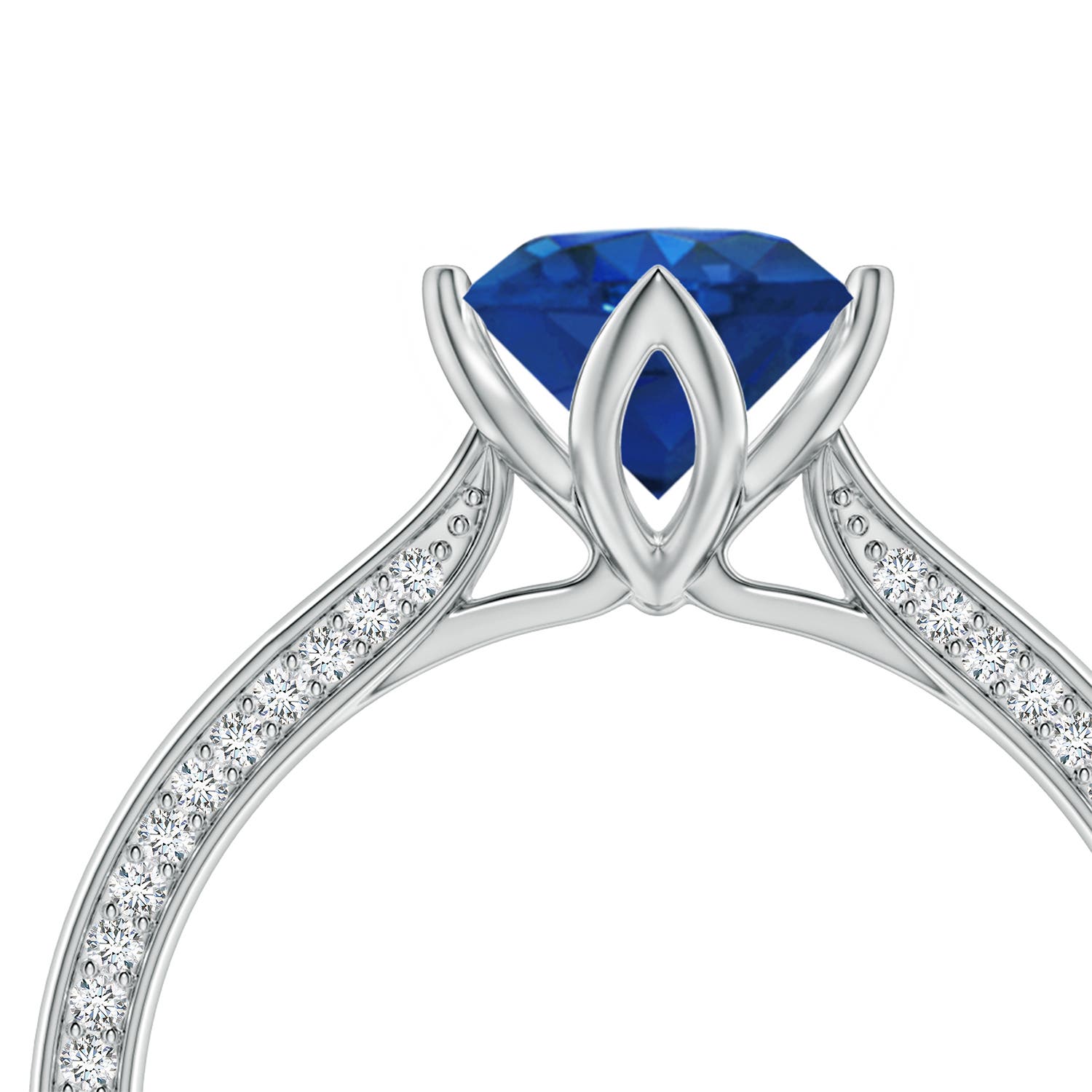 6.5mm AAA Round Blue Sapphire Engagement Ring with Hidden Diamond Accents in White Gold - side 4
