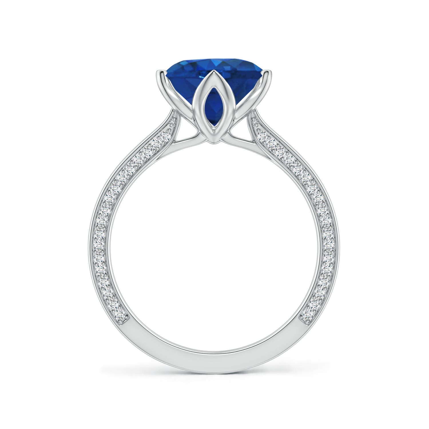 8mm AAA Round Blue Sapphire Engagement Ring with Hidden Diamond Accents in White Gold