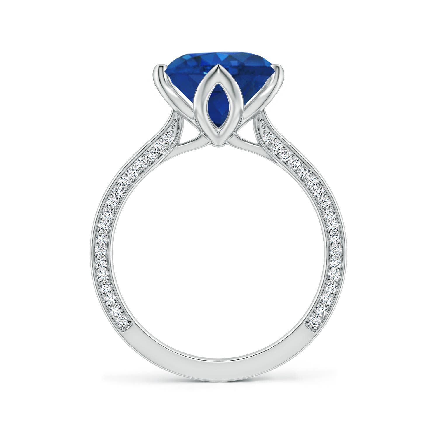 9mm AAA Round Blue Sapphire Engagement Ring with Hidden Diamond Accents in White Gold