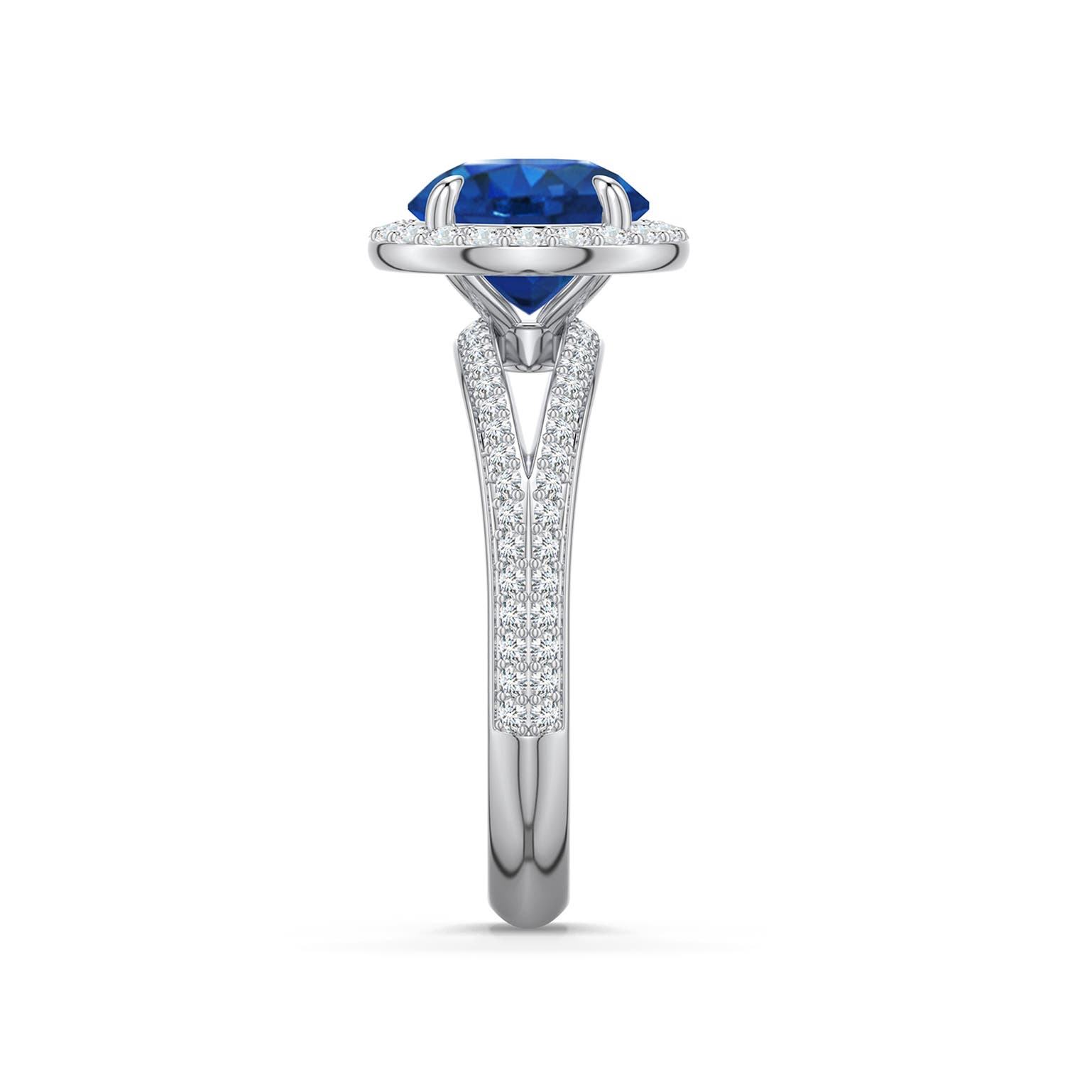 8mm AAA Round Blue Sapphire Halo Engagement Ring with Accents in White Gold - side 2 - side 3