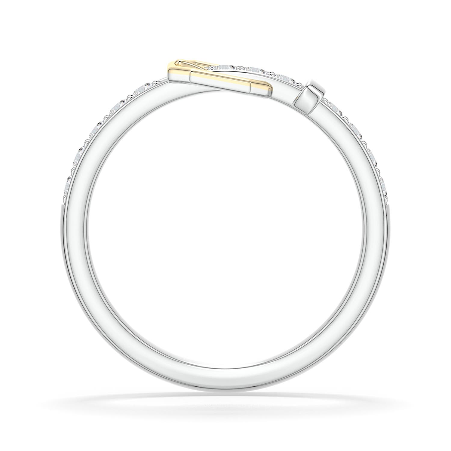 1.8mm HSI2 Equestria Belt Ring in 999-18K Mixed Metal - side 1