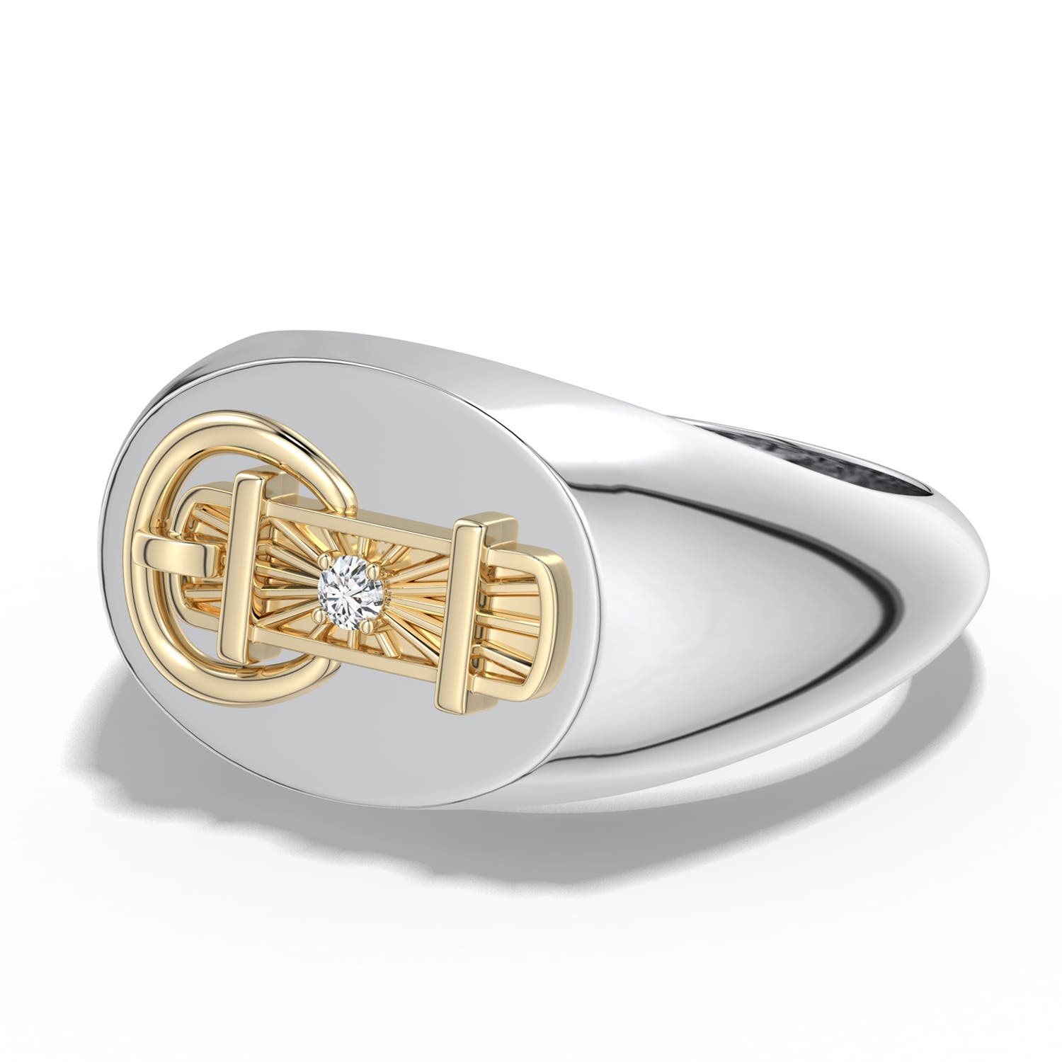 2mm HSI2 Equestria Belt Buckle Ring in 999-18K Mixed Metal - main