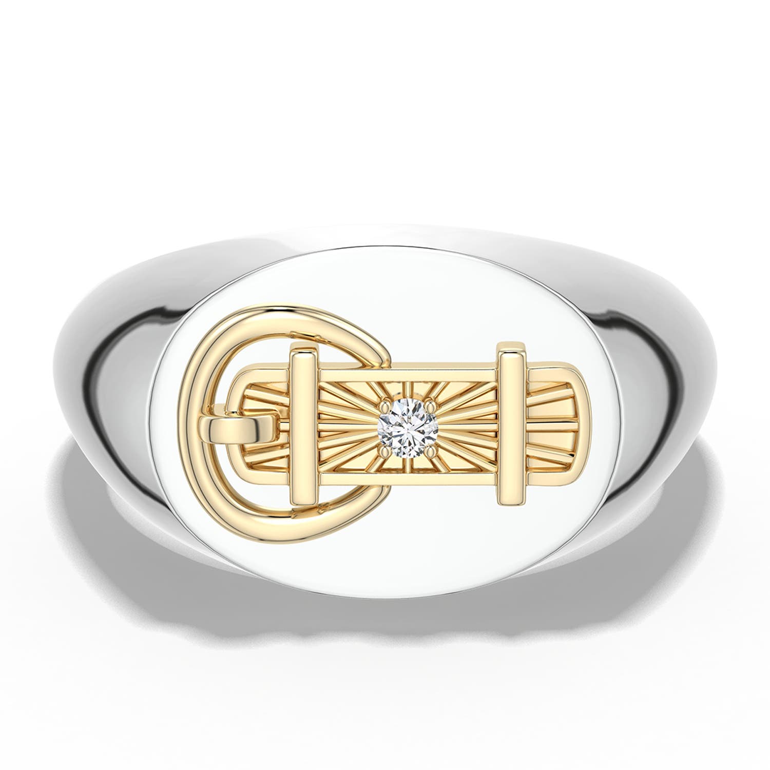 2mm HSI2 Equestria Belt Buckle Ring in 999-18K Mixed Metal - side 1